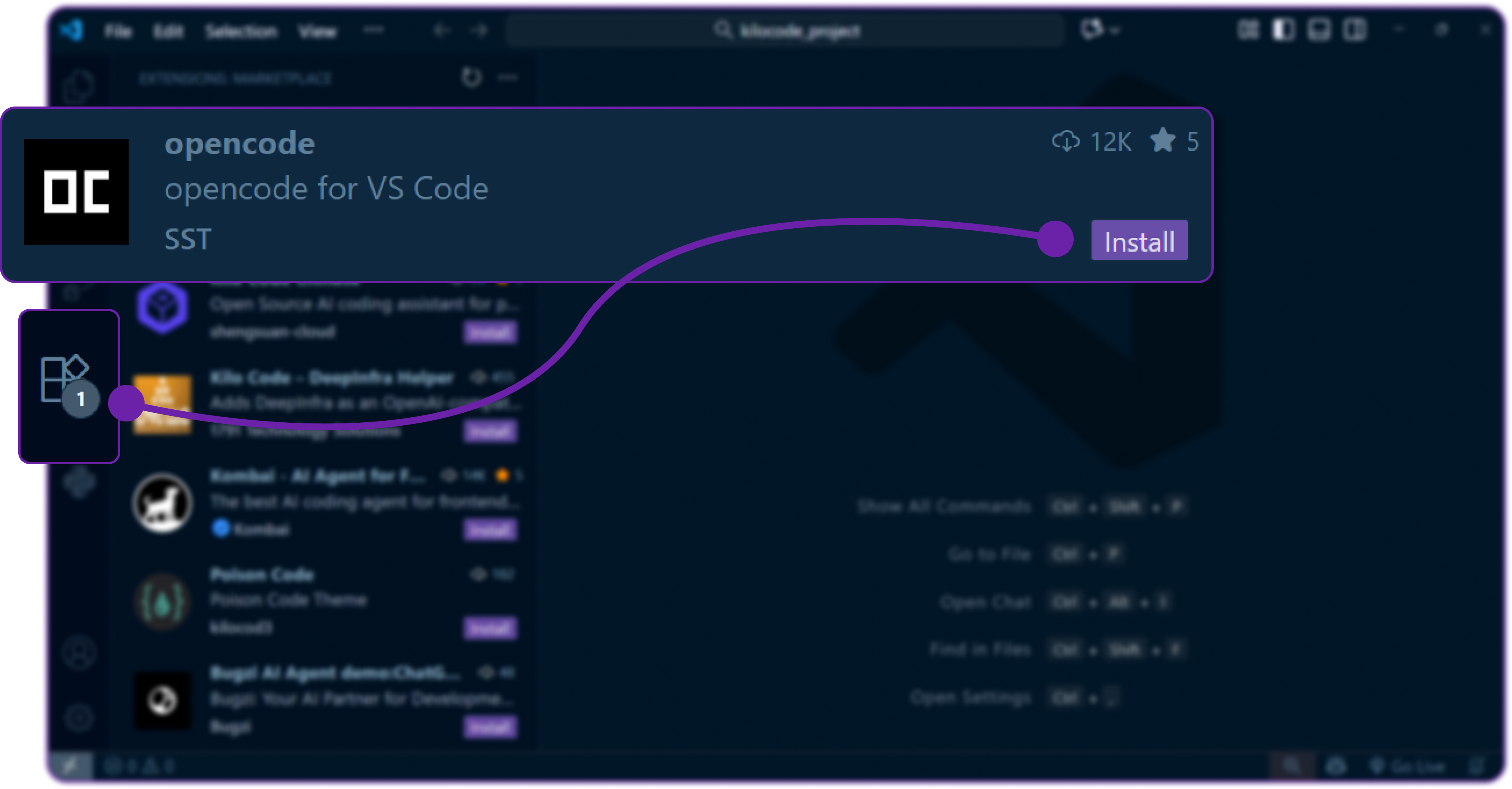 Step 10: Purpose of VSCode Extension