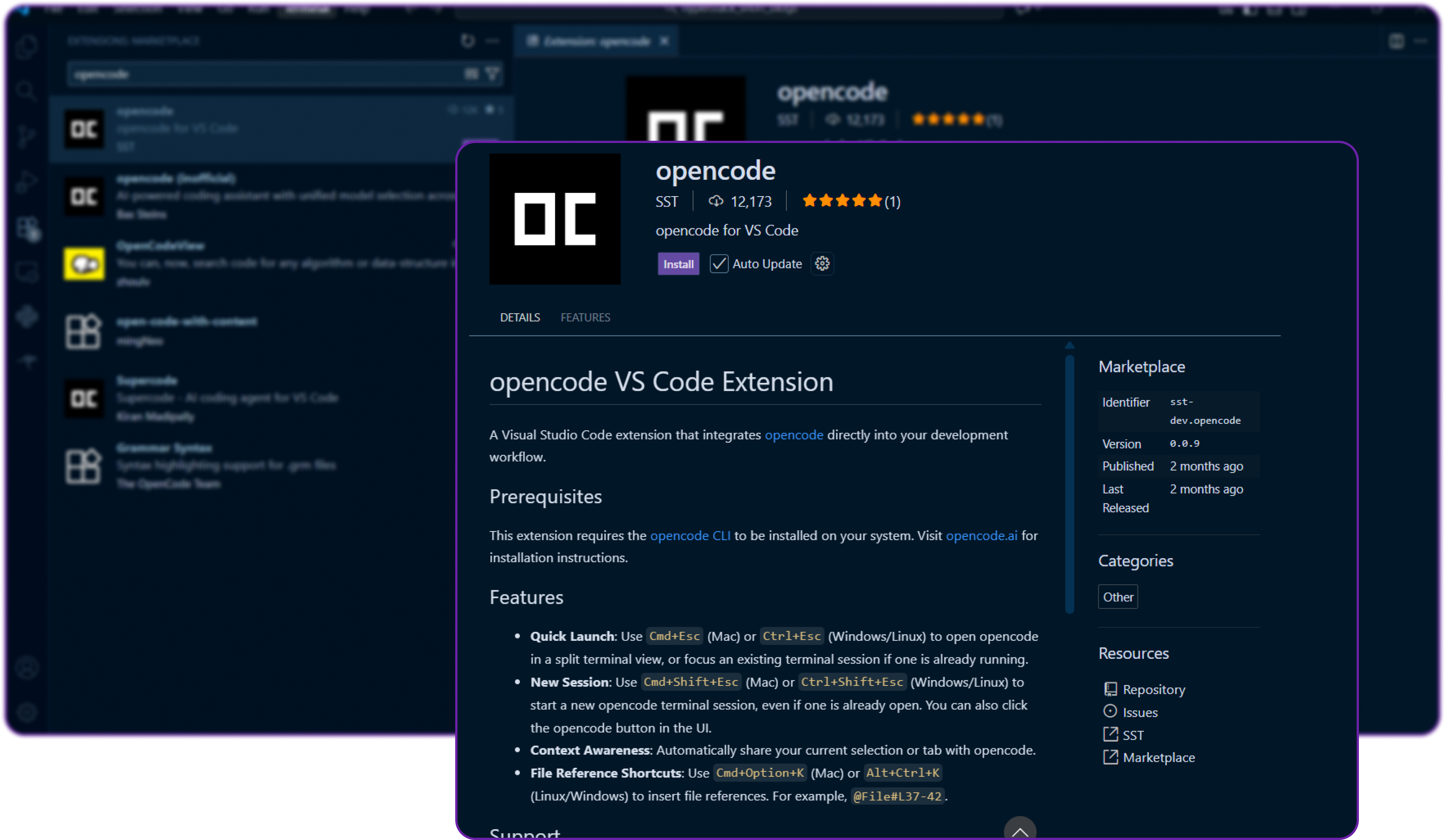 Step 10: Purpose of VSCode Extension